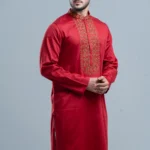 Regular Fit Embroidered Semi-Formal Panjabi